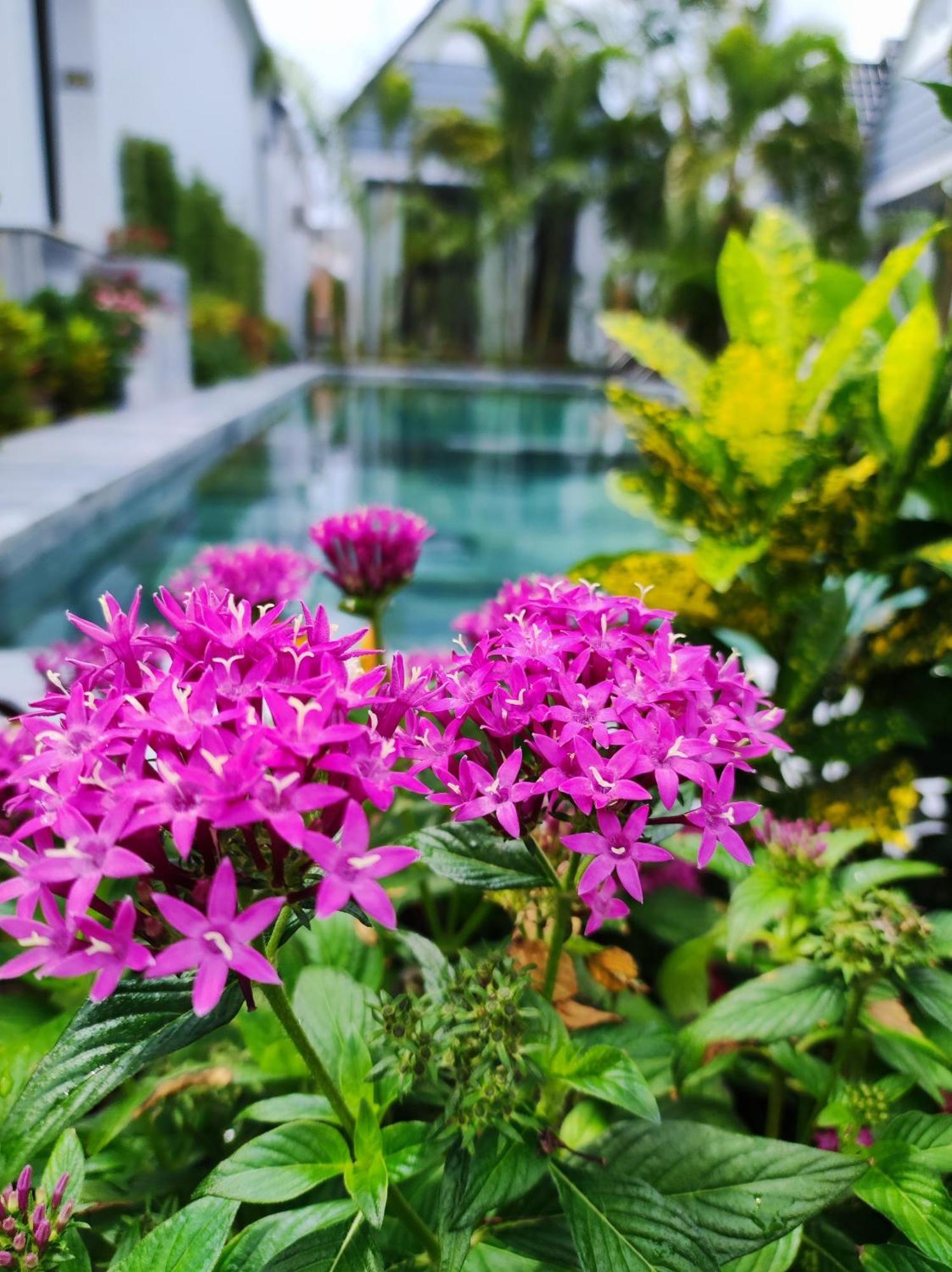 Ngoc Trai Xanh Bungalow Phu Quoc Exteriér fotografie