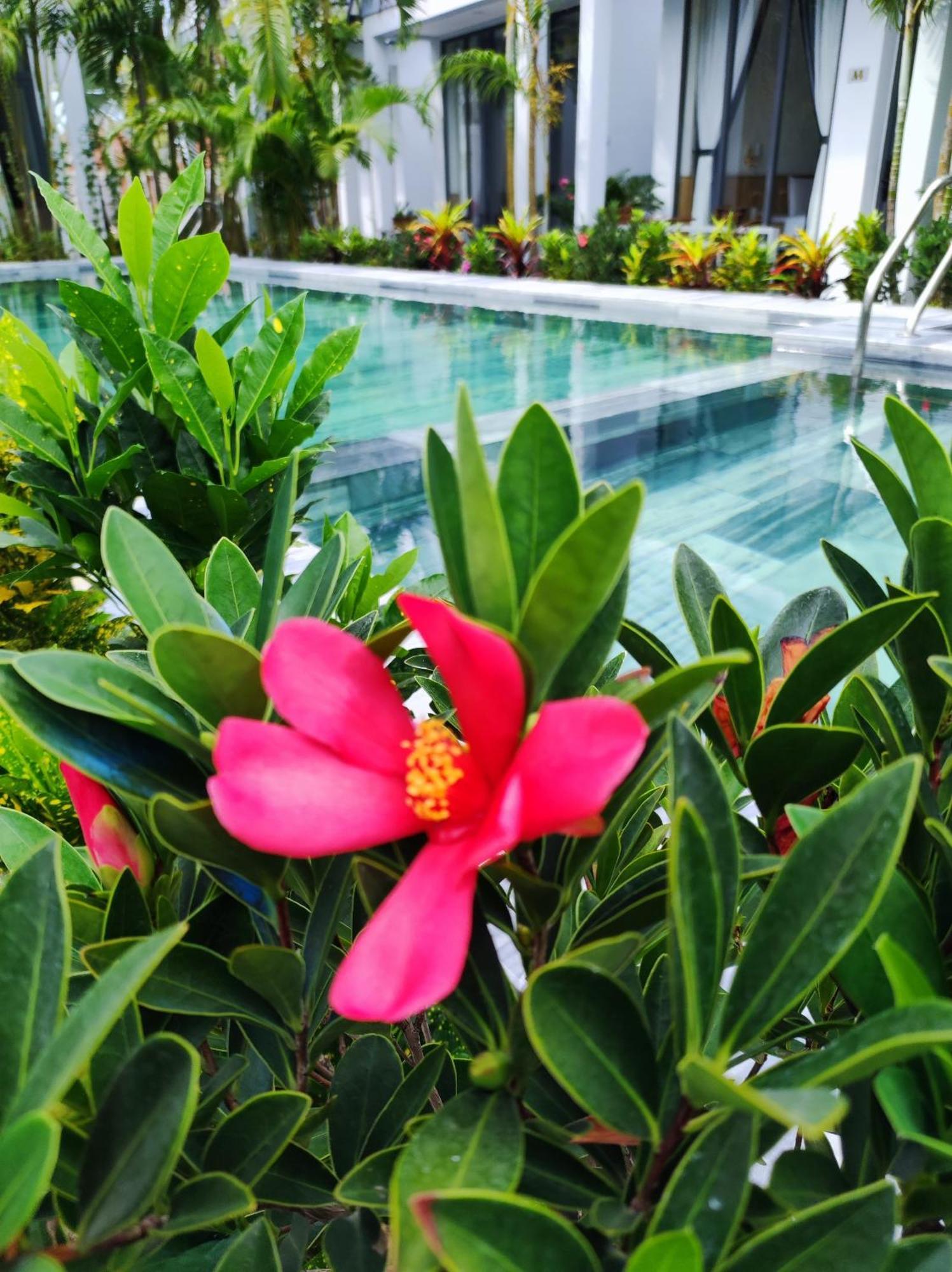 Ngoc Trai Xanh Bungalow Phu Quoc Exteriér fotografie
